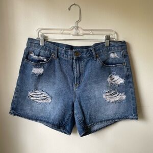 Articles of Society Distressed Shorts, Size 12